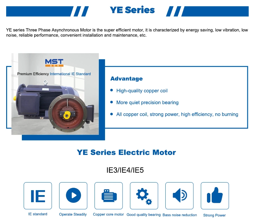 Asynchronous Flange Mounted AC Induction Electrical Motor