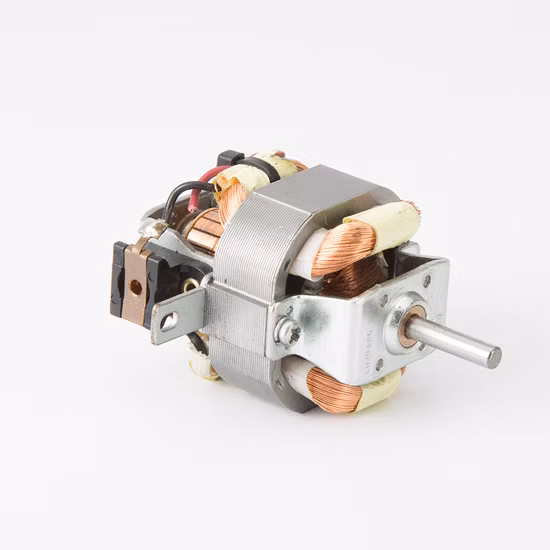 헤어 드라이어에 좋은 가격을 제공하는 최신 판매 AC 범용 모터