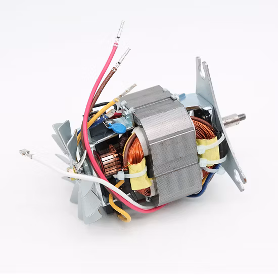 블렌더/헤어드라이어용 공장 범용 전기 200W AC 모터